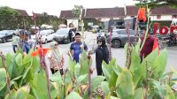 Tata Taman Kota, Fatmawati Rusdi Lakukan Peninjauan Langsung