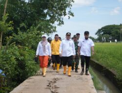 Munafri Tinjau Jalan Terjal Rusak di di Romang Tangayya Akan Diperbaiki, Anggaran Rp 4 Miliar
