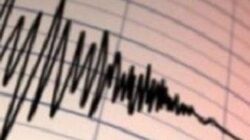 Viral di Medsos, Gempa M7,7 Filipina Picu Alarm Tsunami di Sejumlah Wilayah RI Viral di Medsos, Gempa M7,7 Filipina Picu Alarm Tsunami di Sejumlah Wilayah RI
